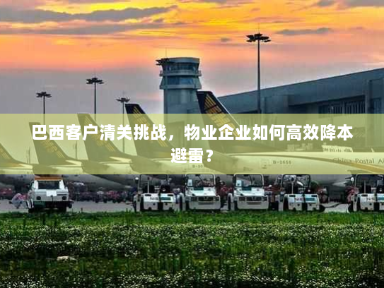 巴西客户清关挑战,物业企业如何高效降本避雷? 巴西客户清关挑战,物业企业如何高效降本避雷?