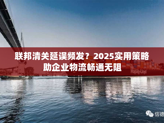 联邦清关延误频发?2025实用策略助企业物流畅通无阻 联邦清关延误频发?2025实用策略助企业物流畅通无阻