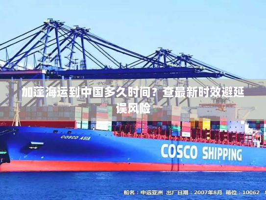 加蓬海运到中国多久时间?查最新时效避延误风险 加蓬海运到中国多久时间?查最新时效避延误风险