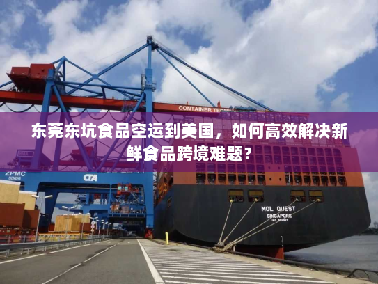 东莞东坑食品空运到美国,如何高效解决新鲜食品跨境难题? 东莞东坑食品空运到美国,如何高效解决新鲜食品跨境难题?