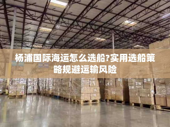 杨浦国际海运怎么选船?实用选船策略规避运输风险