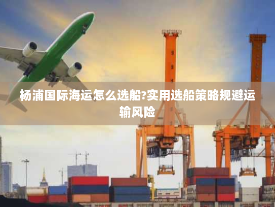 杨浦国际海运怎么选船?实用选船策略规避运输风险 杨浦国际海运怎么选船?实用选船策略规避运输风险