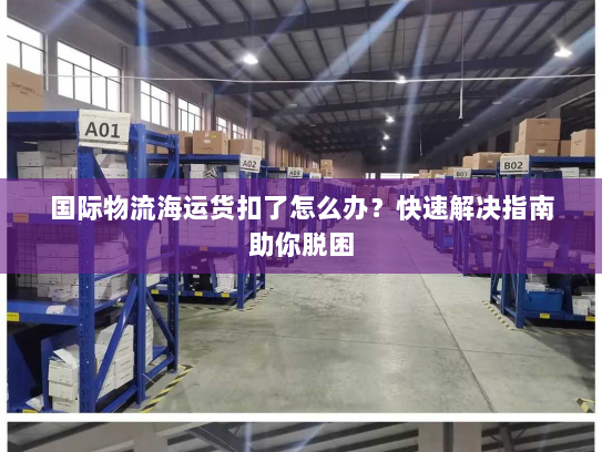 国际物流海运货扣了怎么办？快速解决指南助你脱困