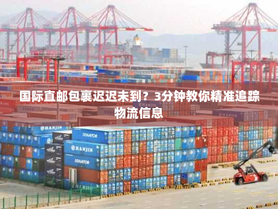 国际直邮包裹迟迟未到？3分钟教你精准追踪物流信息