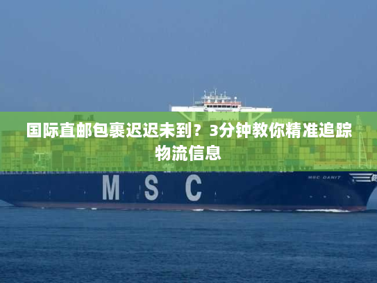 国际直邮包裹迟迟未到？3分钟教你精准追踪物流信息