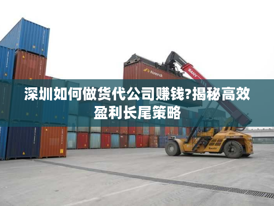 深圳如何做货代公司赚钱?揭秘高效盈利长尾策略 深圳如何做货代公司赚钱?揭秘高效盈利长尾策略