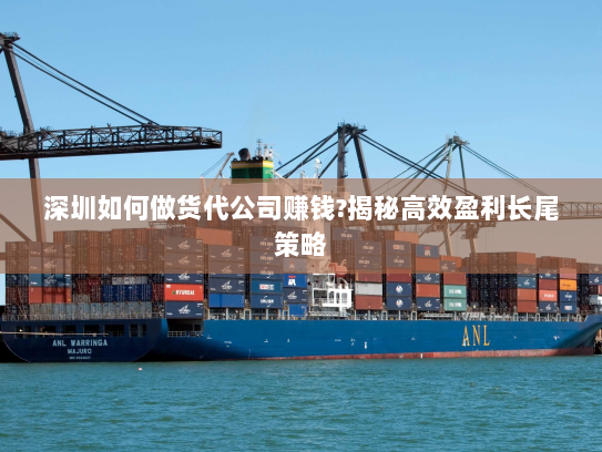 深圳如何做货代公司赚钱?揭秘高效盈利长尾策略 深圳如何做货代公司赚钱?揭秘高效盈利长尾策略