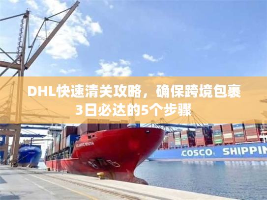 DHL快速清关攻略,确保跨境包裹3日必达的5个步骤 DHL快速清关攻略,确保跨境包裹3日必达的5个步骤
