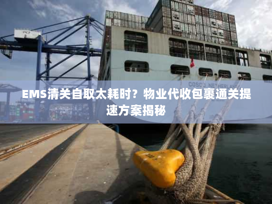 EMS清关自取太耗时？物业代收包裹通关提速方案揭秘