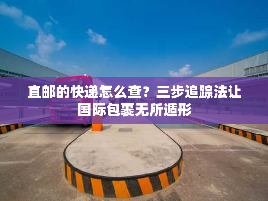 直邮的快递怎么查?三步追踪法让国际包裹无所遁形 直邮的快递怎么查?三步追踪法让国际包裹无所遁形