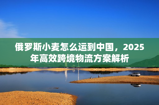 俄罗斯小麦怎么运到中国，2025年高效跨境物流方案解析