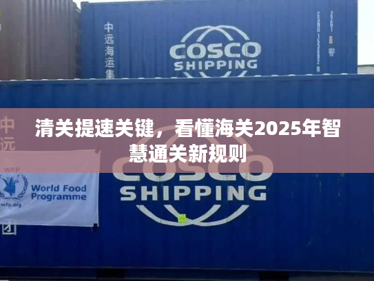 清关提速关键，看懂海关2025年智慧通关新规则