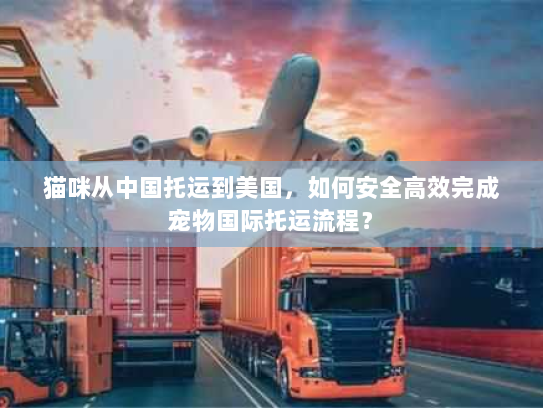 猫咪从中国托运到美国,如何安全高效完成宠物国际托运流程? 猫咪从中国托运到美国,如何安全高效完成宠物国际托运流程?