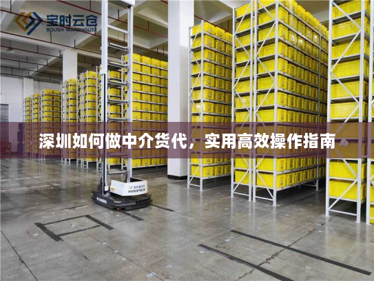 深圳如何做中介货代,实用高效操作指南 深圳如何做中介货代,实用高效操作指南