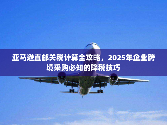 亚马逊直邮关税计算全攻略，2025年企业跨境采购必知的降税技巧