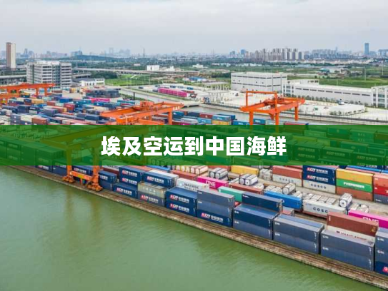 埃及空运到中国海鲜 埃及空运到中国海鲜