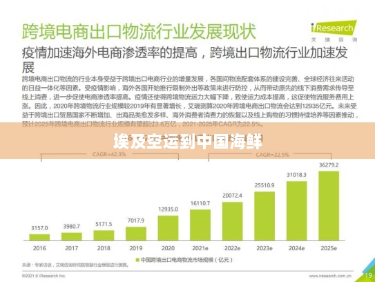埃及空运到中国海鲜 埃及空运到中国海鲜