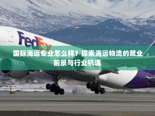 国际海运专业怎么样?探索海运物流的就业前景与行业机遇 国际海运专业怎么样?探索海运物流的就业前景与行业机遇