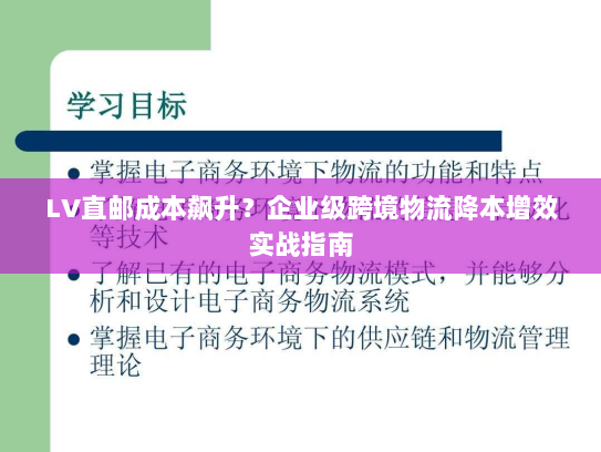 LV直邮成本飙升?企业级跨境物流降本增效实战指南 LV直邮成本飙升?企业级跨境物流降本增效实战指南