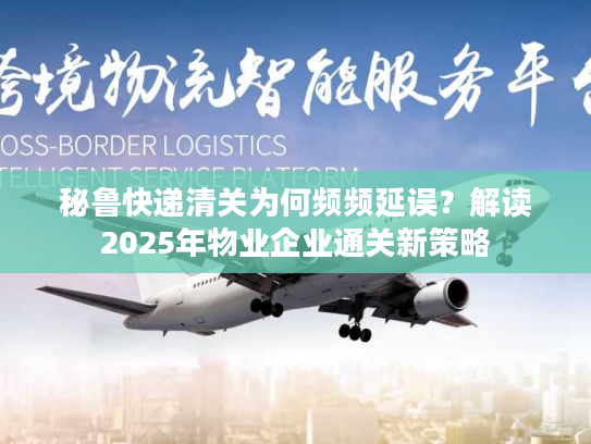 秘鲁快递清关为何频频延误？解读2025年物业企业通关新策略