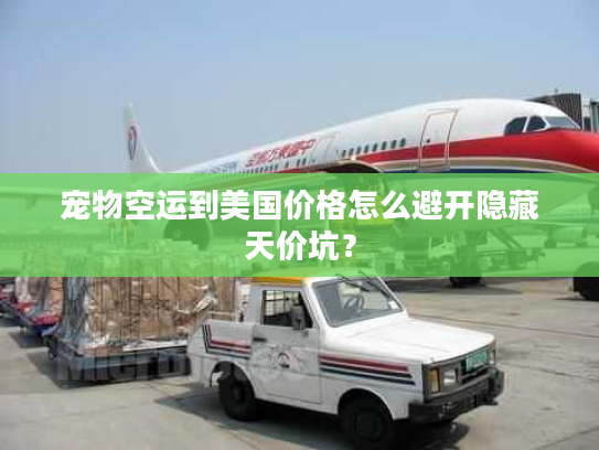 宠物空运到美国价格怎么避开隐藏天价坑？