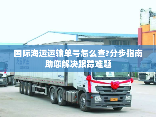 国际海运运输单号怎么查?分步指南助您解决跟踪难题