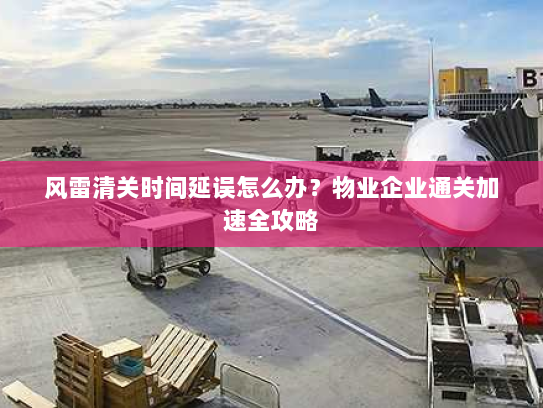 风雷清关时间延误怎么办?物业企业通关加速全攻略 风雷清关时间延误怎么办?物业企业通关加速全攻略