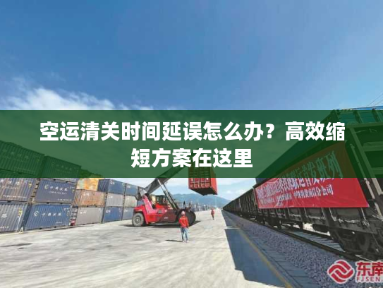 空运清关时间延误怎么办？高效缩短方案在这里
