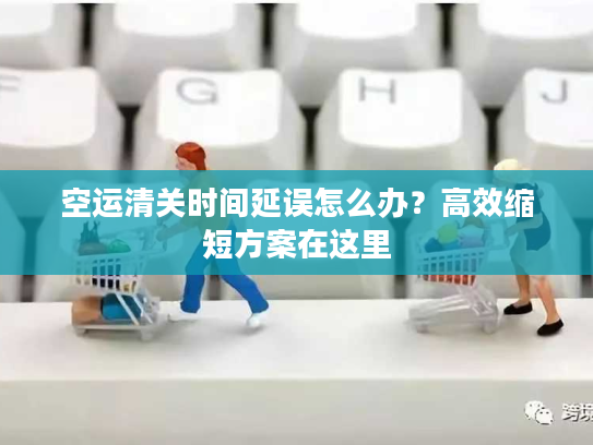 空运清关时间延误怎么办？高效缩短方案在这里