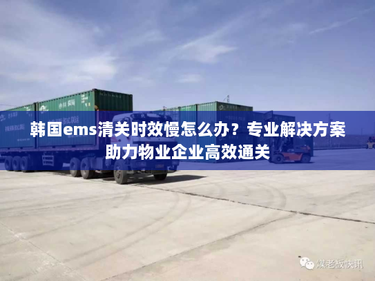 韩国ems清关时效慢怎么办?专业解决方案助力物业企业高效通关 韩国ems清关时效慢怎么办?专业解决方案助力物业企业高效通关