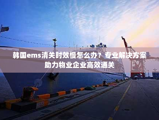 韩国ems清关时效慢怎么办?专业解决方案助力物业企业高效通关 韩国ems清关时效慢怎么办?专业解决方案助力物业企业高效通关