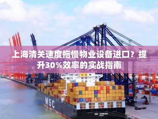 上海清关速度拖慢物业设备进口？提升30%效率的实战指南