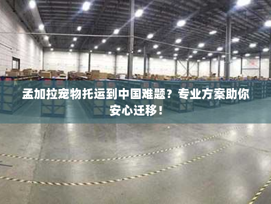 孟加拉宠物托运到中国难题?专业方案助你安心迁移! 孟加拉宠物托运到中国难题?专业方案助你安心迁移!
