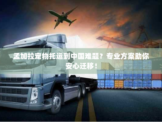 孟加拉宠物托运到中国难题?专业方案助你安心迁移! 孟加拉宠物托运到中国难题?专业方案助你安心迁移!