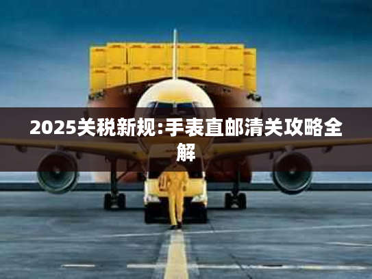 2025关税新规:手表直邮清关攻略全解