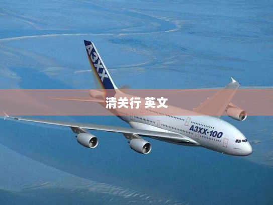 清关行 英文 清关行 英文