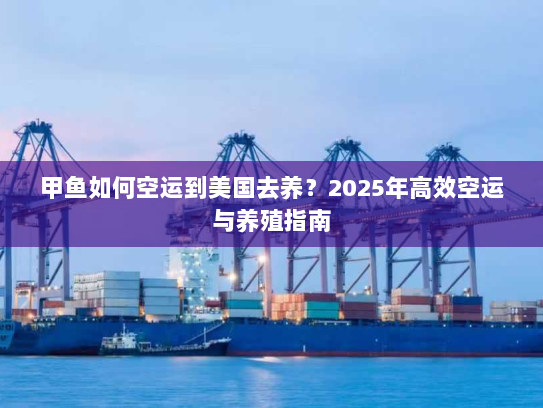 甲鱼如何空运到美国去养？2025年高效空运与养殖指南