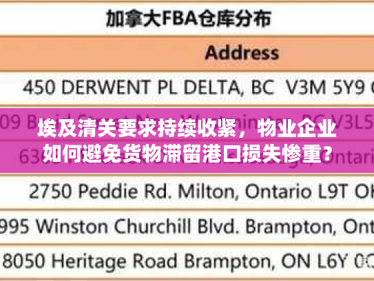 埃及清关要求持续收紧，物业企业如何避免货物滞留港口损失惨重？