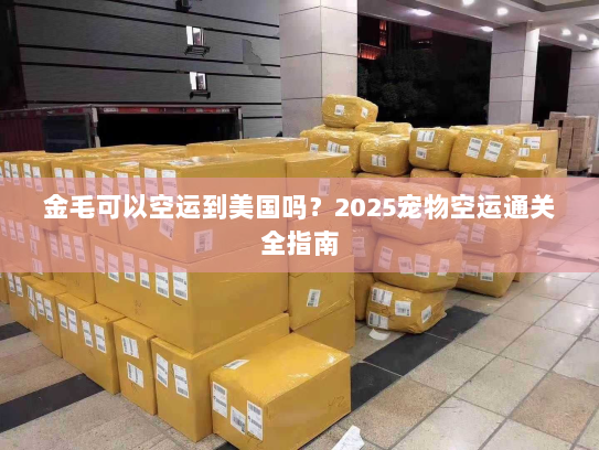 金毛可以空运到美国吗?2025宠物空运通关全指南 金毛可以空运到美国吗?2025宠物空运通关全指南