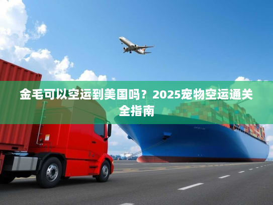 金毛可以空运到美国吗?2025宠物空运通关全指南 金毛可以空运到美国吗?2025宠物空运通关全指南