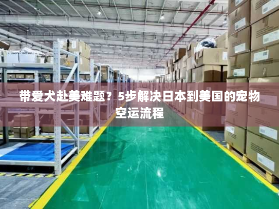 带爱犬赴美难题?5步解决日本到美国的宠物空运流程 带爱犬赴美难题?5步解决日本到美国的宠物空运流程