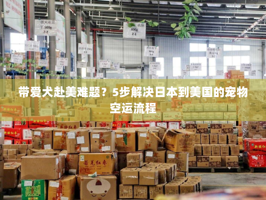 带爱犬赴美难题?5步解决日本到美国的宠物空运流程 带爱犬赴美难题?5步解决日本到美国的宠物空运流程
