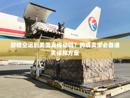 醪糟空运到美国卖得动吗?跨境卖家必备通关保鲜方案 醪糟空运到美国卖得动吗?跨境卖家必备通关保鲜方案