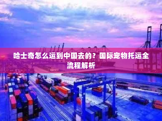 哈士奇怎么运到中国去的?国际宠物托运全流程解析 哈士奇怎么运到中国去的?国际宠物托运全流程解析