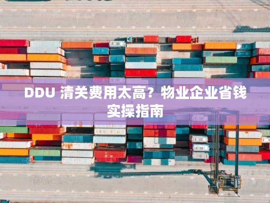 DDU 清关费用太高？物业企业省钱实操指南