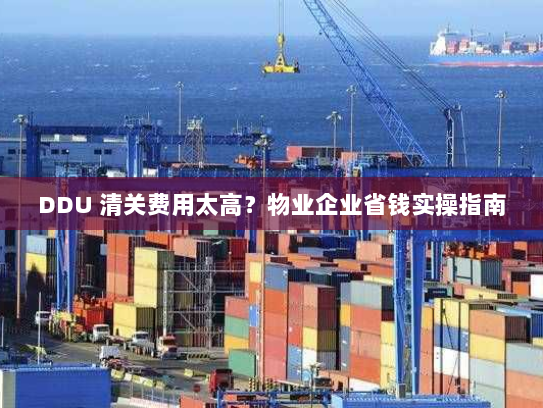 DDU 清关费用太高?物业企业省钱实操指南 DDU 清关费用太高?物业企业省钱实操指南