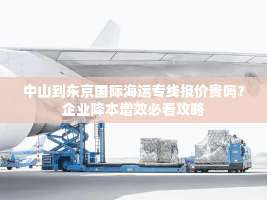 中山到东京国际海运专线报价贵吗？企业降本增效必看攻略
