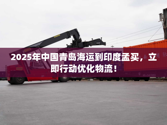 2025年中国青岛海运到印度孟买，立即行动优化物流！