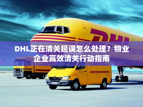 DHL正在清关延误怎么处理？物业企业高效清关行动指南