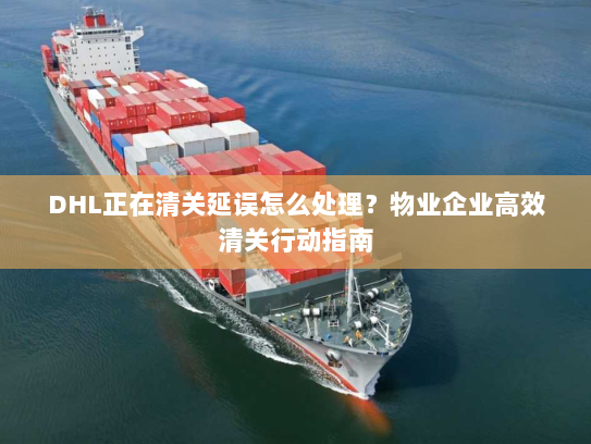 DHL正在清关延误怎么处理？物业企业高效清关行动指南